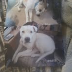 Larry Speights - Facebook