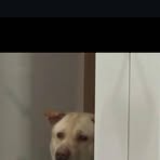 Lawrence Sunguti - Facebook