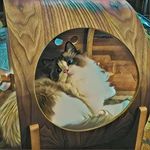 Cuda, Guinness, Hennessy & Ainsley - @talleylawrence - Instagram