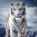 Lawrence Thien - Facebook