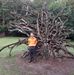 Lawrence Toogood woodworks - Facebook