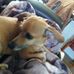 Larry Trimble - Facebook