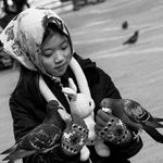 Lawrence Tse - @lawrtse - Instagram