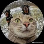 Laurence Velasquez - Facebook