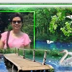 Laurence Vuong - Facebook