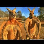 Waddle Lawrence - @lawrencewaddle45 - Instagram