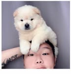 Lawrence Lee Wen Long - @lawrencelee.328 - Instagram