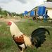 Lawrence Wen - Facebook