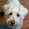lawrencewhitlock1961 - @lawrencewhitlock1961 - TikTok
