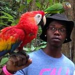 Lawrence Whyte - @spattling.construction - Instagram