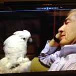 Lawrence Wolf - @wolf.lawrence - Instagram