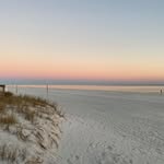 Lawrence Wolf - @lawrence.wolf.5 - Instagram