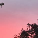 Lawrence Wolfe - @cxxv_lj - Instagram