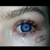 lawsonbrooks2 - @lawsonbrooks2 - TikTok
