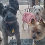 Shirley Lawson-Carr - @shirleyllc - Instagram