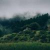 parrish_lawson - @parrish_lawson - TikTok