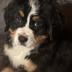 Lawson Peck - Facebook