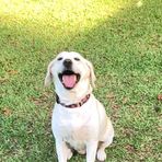 Lawson Townsend - Facebook