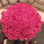 Layan Odeh - @layan_odeh12 - Instagram