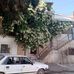 Layan Odeh - Facebook