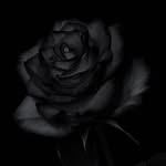 Layla Abdallah - @layla.abdallah892020 - Instagram