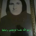 Layla Abdallah - @abdallah_layla - Instagram