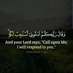 Layla Abdallah - @laylaabdallah487 - Instagram