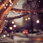 Layla.abdallah - @layla.abdallah6575 - Instagram