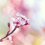 Layla AL-Arbash - @layla_abdulaziz - Instagram