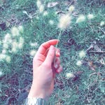 Layla Abdullah - @laylaabdullah71 - Instagram
