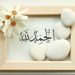 Layla Abdullah - @laylaabdullah65 - Instagram