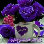 layla.Abdullah - @layla.ab5510 - Instagram
