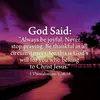 layla Armstrong - @layla.armstrong8 - TikTok