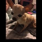 Layla Ayers - Facebook