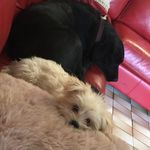 Layla&Bailey - @layla__bailey - Instagram