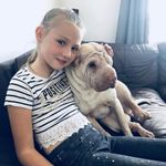 Layla Ballard - @layla_the_sharpei - Instagram