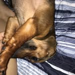 Layla Barber - @nu_nu_the_ - Instagram