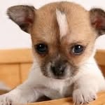 laylabarber - @layla_bascomb - Instagram