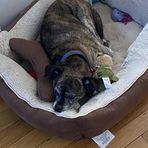 Layla Bean - Facebook