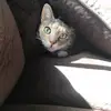 Layla “Bean” - @laylabeanmarie - TikTok