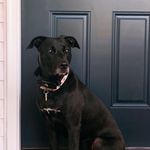 Layla Yost - @laylabeanyost - Instagram