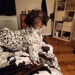 @laylabeanthegsp - Instagram