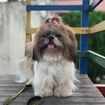Layla maria beckman - @layla_beckmanmaria - Instagram