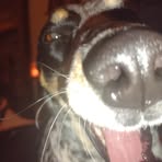 Layla Benson - Facebook