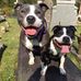 Layla Bentley - Facebook