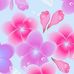 Layla Bingham - Facebook