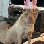 Layla Bishop - Facebook