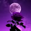 Laylah Bishop - @laylah.bishop - TikTok