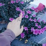 layla bondok//لـيلـي بنـدق - @layla_bondok23 - Instagram