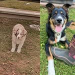 Layla & Bonne - @layla.boone2021 - Instagram